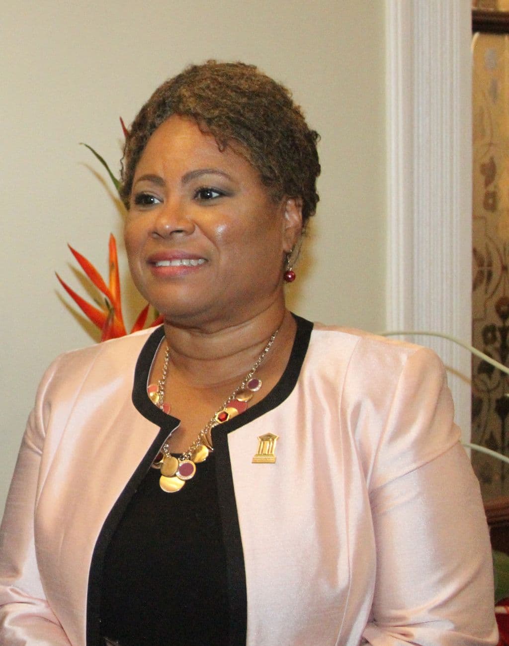 IDA leader: Tobago not being told truth about economic state