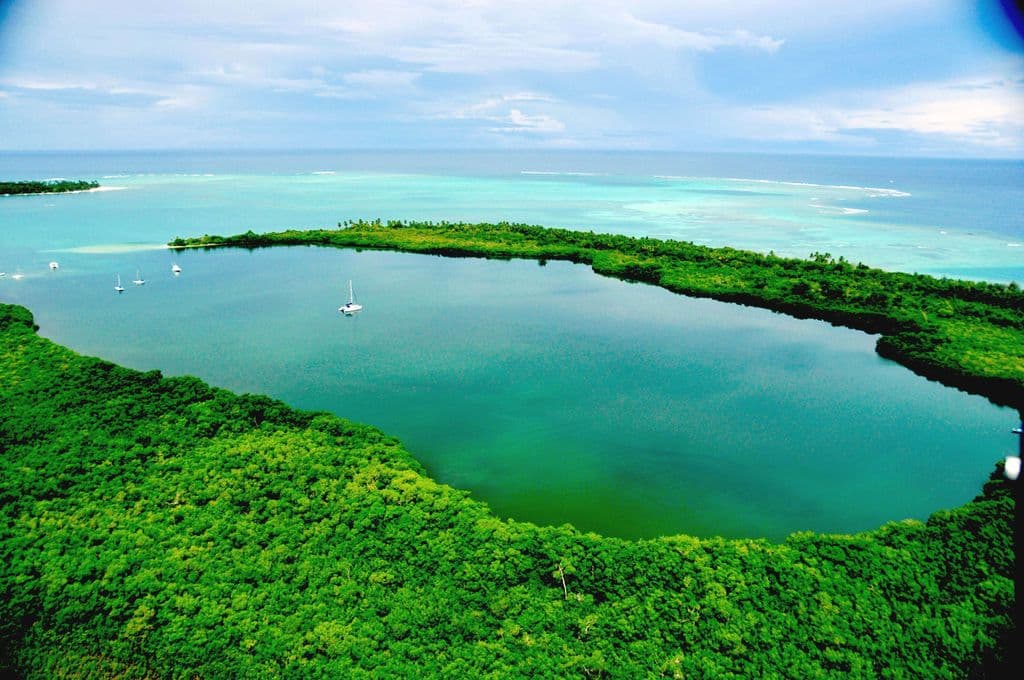 Farley denies rumours of No Man’s Land giveaway