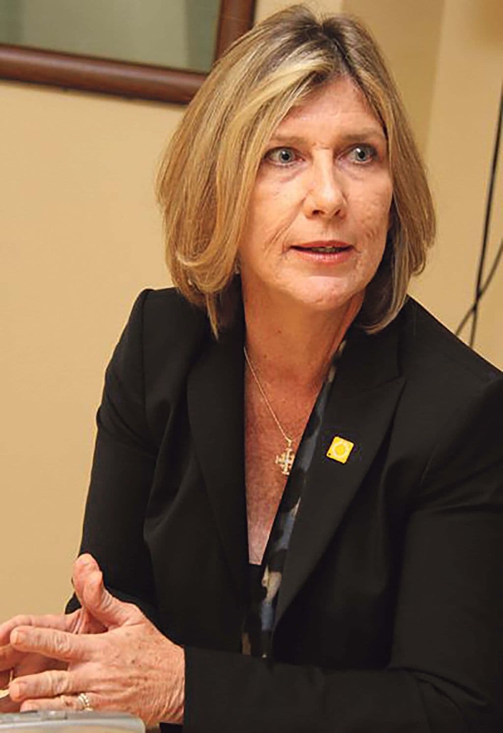 Arrive Alive says Gov’t should focus on speed limit to cut road deaths