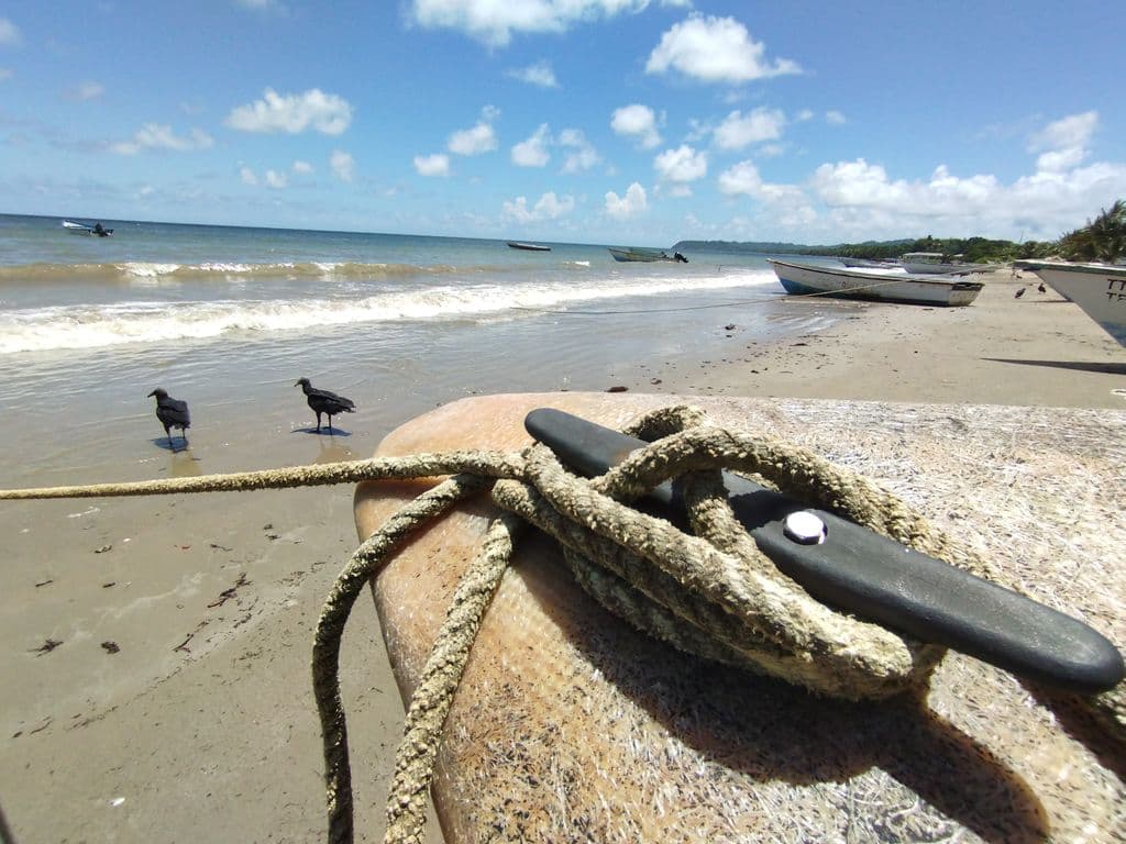 Fisherman drowns off Guayaguayare coast