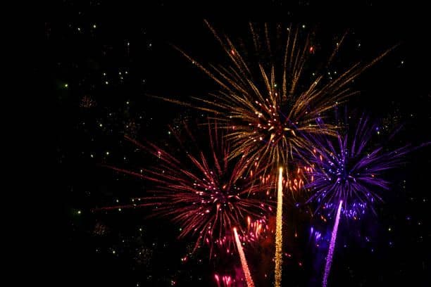 CANPTT calls for stronger protections in fireworks bill