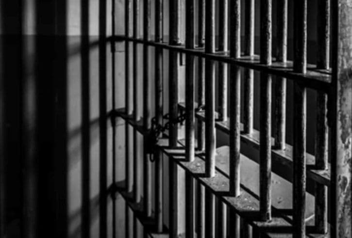 Two sentenced to 12 months’ hard labour for larceny