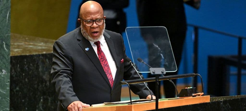 Ex-UNGA president urges urgent Security Council reform