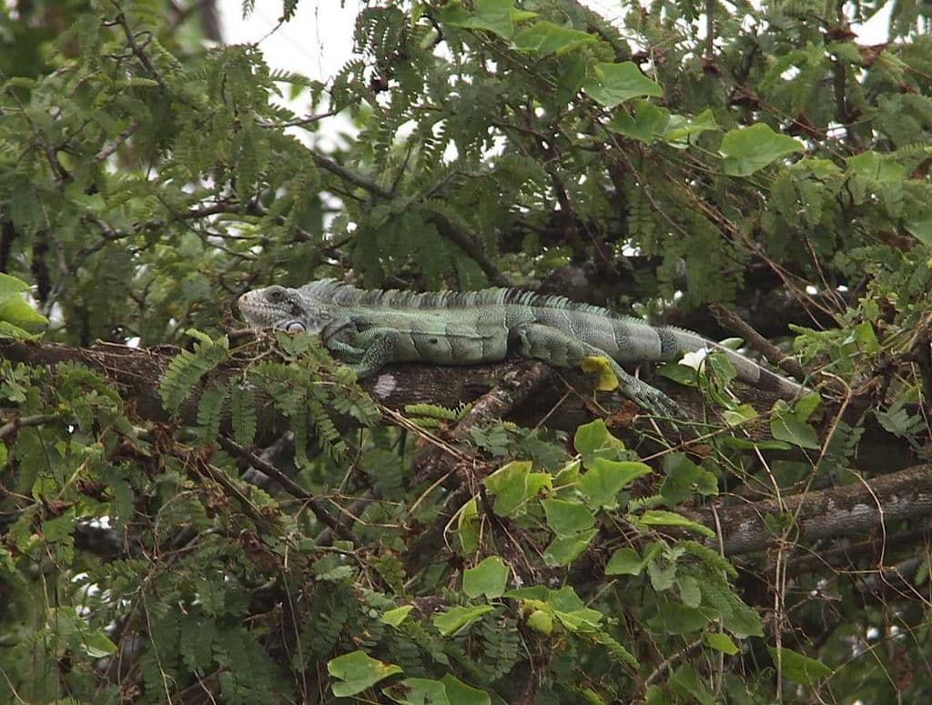 Hunting season officially closed