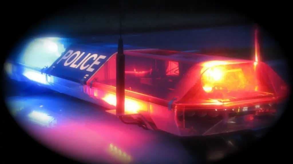 Woman arrested after slapping police officer boyfriend