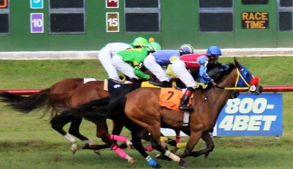 T&T quartet ready to roll at Barbados Turf Festival