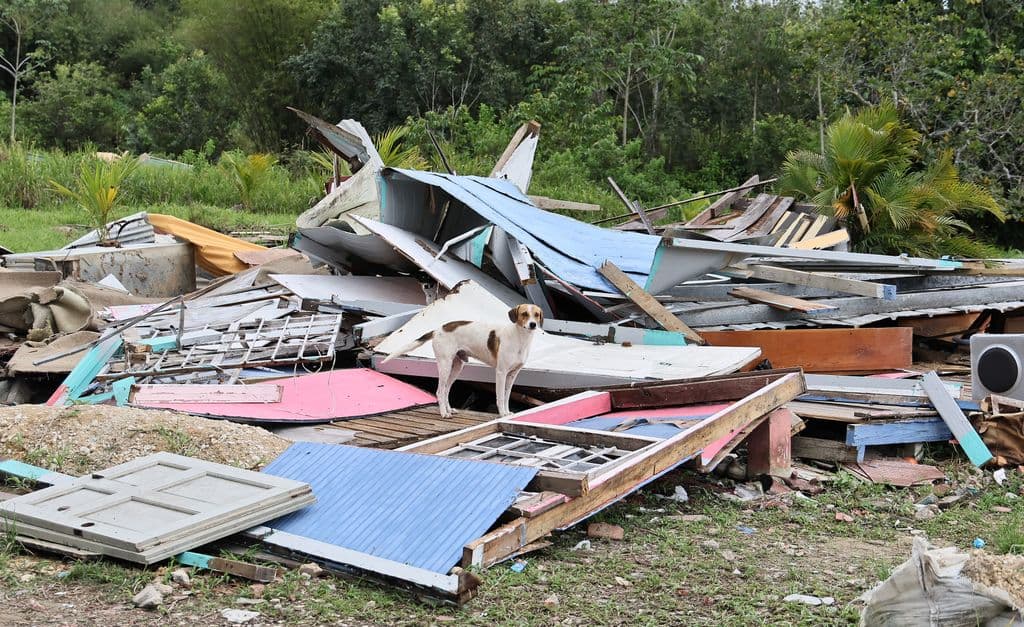 HDC denies getting Pre-Action Protocol letter after demolition