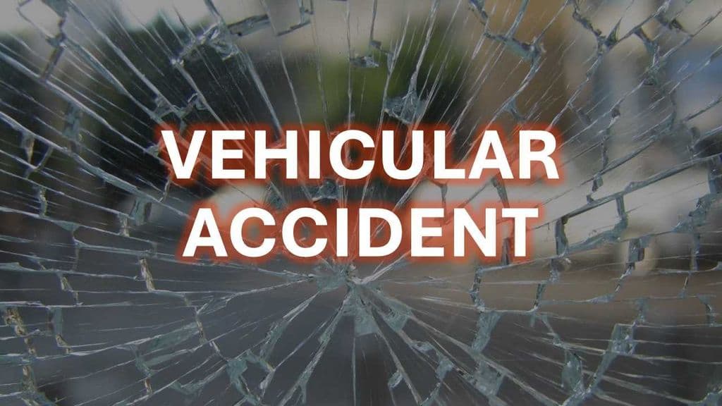 73-year-old dies after being struck by car in Valencia