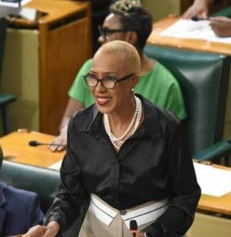 Jamaican government outlines raft of measures aimed at helping citizens
