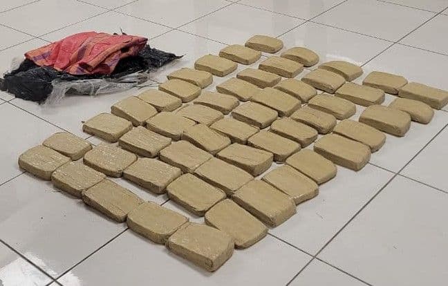 TTPS seizes 100kg of cannabis