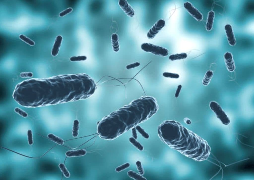 Haiti reporting new cases of cholera