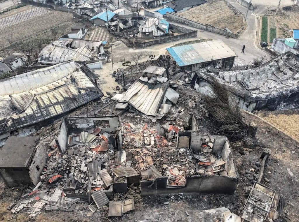 At least 24 dead as wildfires ravage southern South Korea
