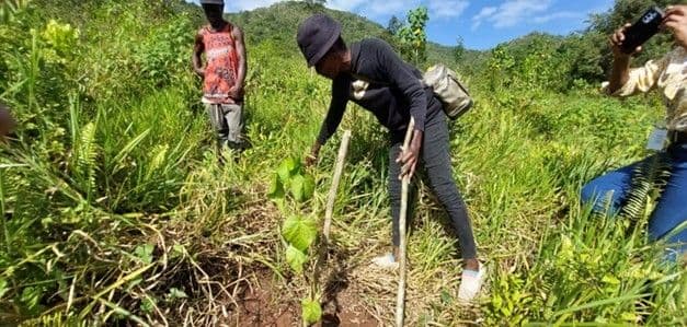 CANARI spearheads GA-LLA programme