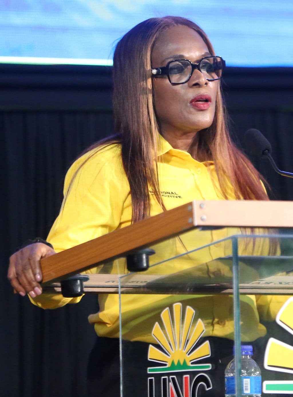 UNC: Young out-of-touch with T&T’s housing woes