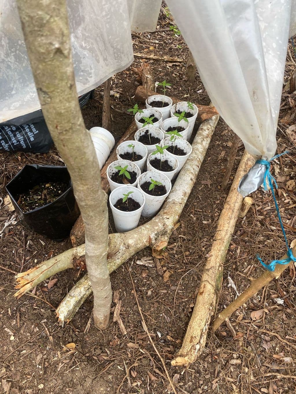 Tobago police deploy drone in cannabis eradication exercise