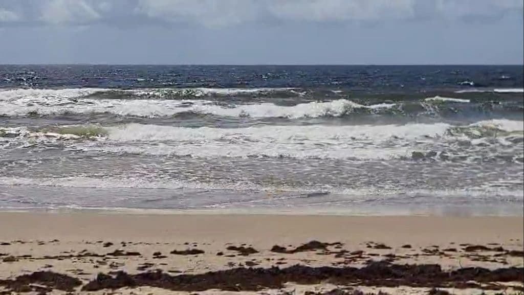 Search ongoing for teen missing at sea