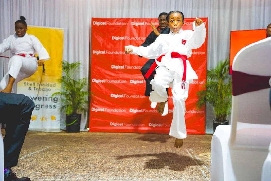 Ryu Dan Foundation upgrades programme