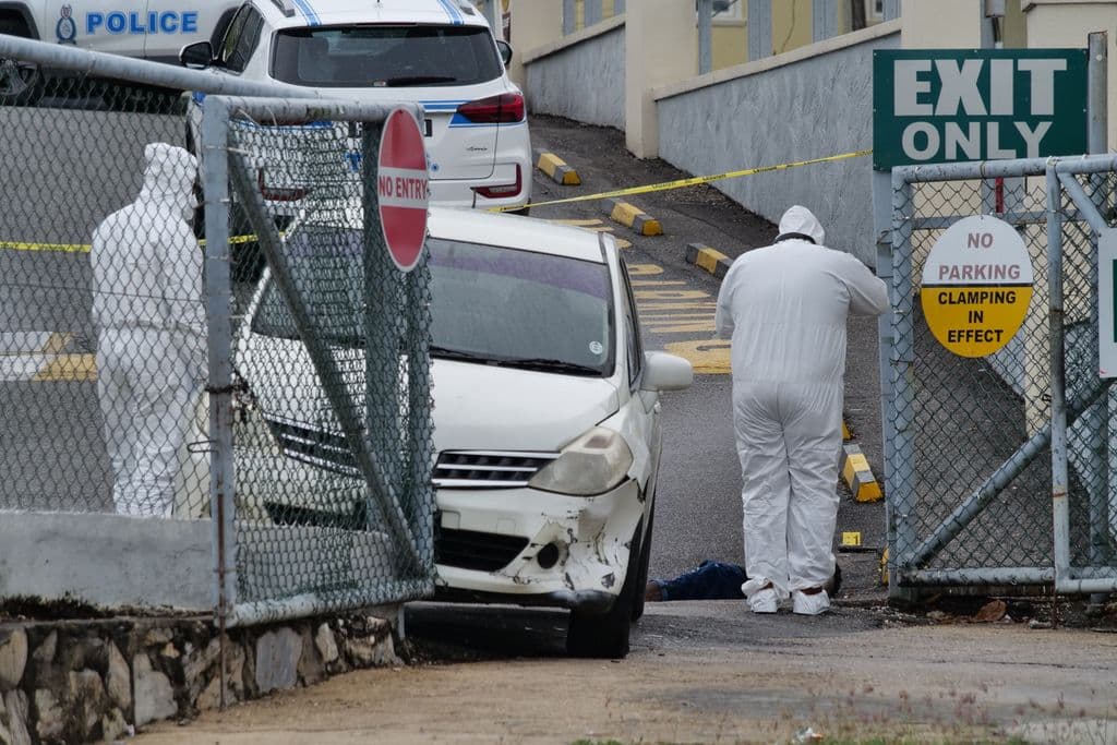 Police hunt for second suspect in mall robbery