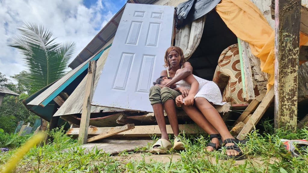 Granny whose home collapsed gets land, house