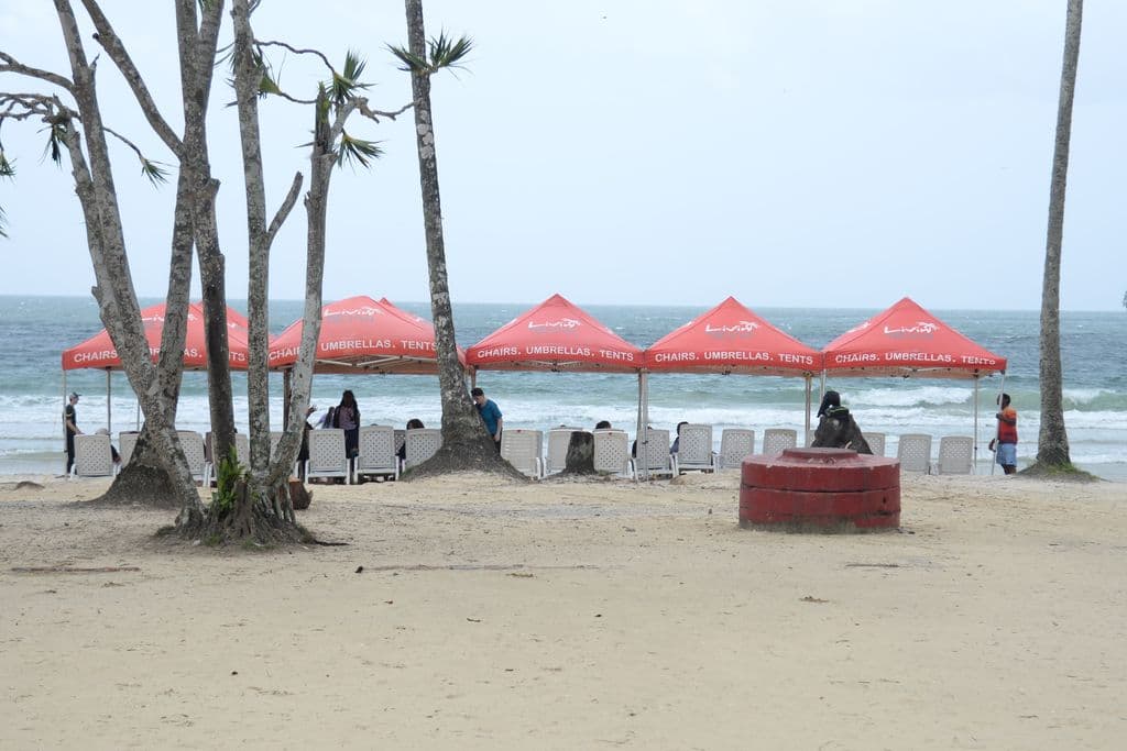 Mitchell: No gangs behind beach chair rentals