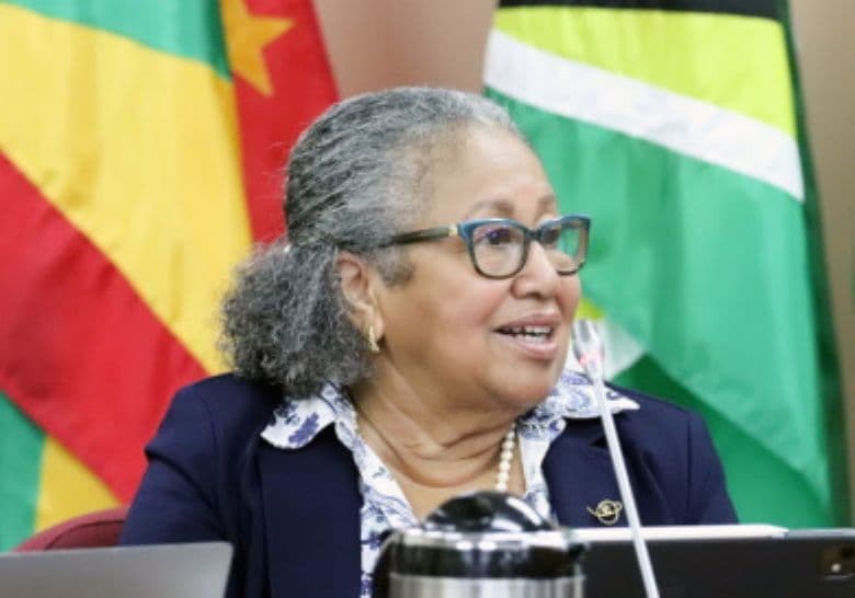 CARICOM trade and economic development ministers meeting in Guyana