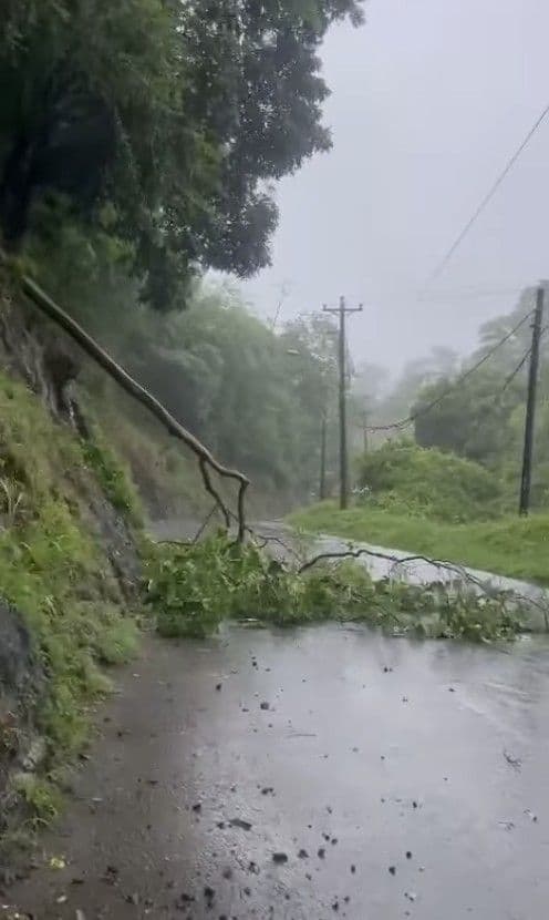 Tobago schools reopen after rough weather on Tuesday
