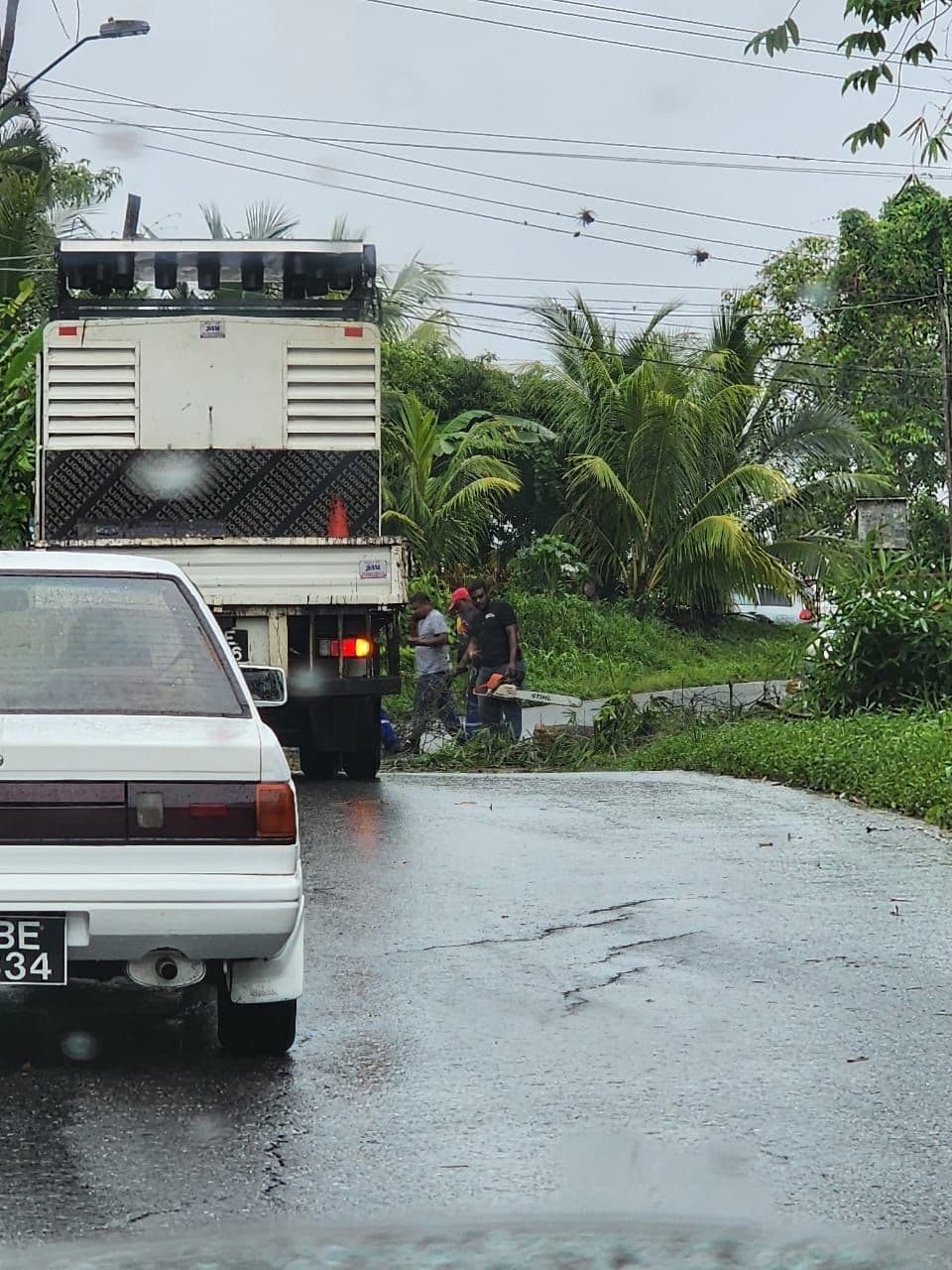 Minor flooding, fallen trees in Mayaro /Rio Claro region