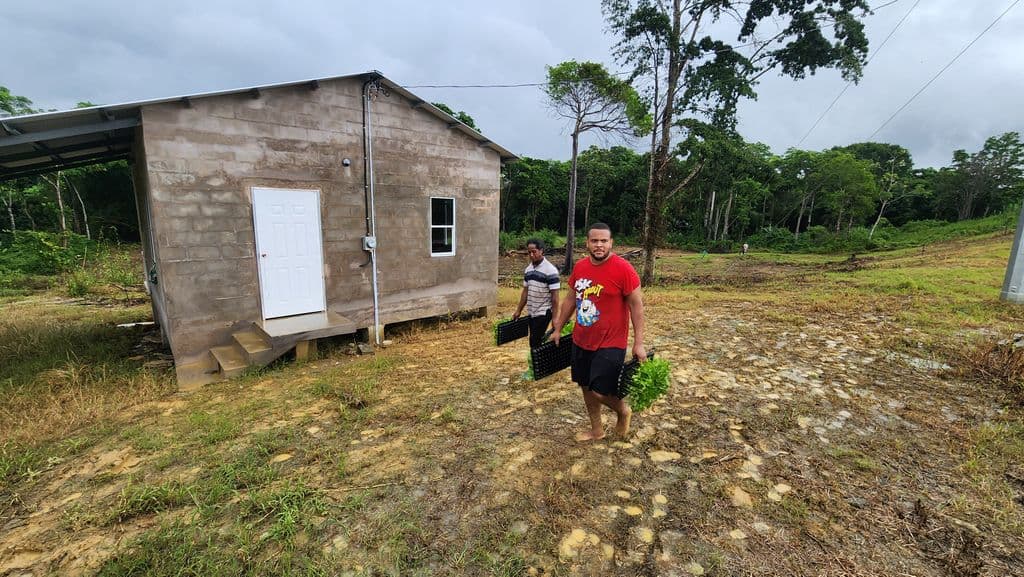 Chatham youth farmers want Govt help