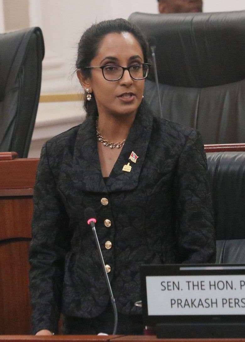 Public consultations on stand-your-ground legislation begins