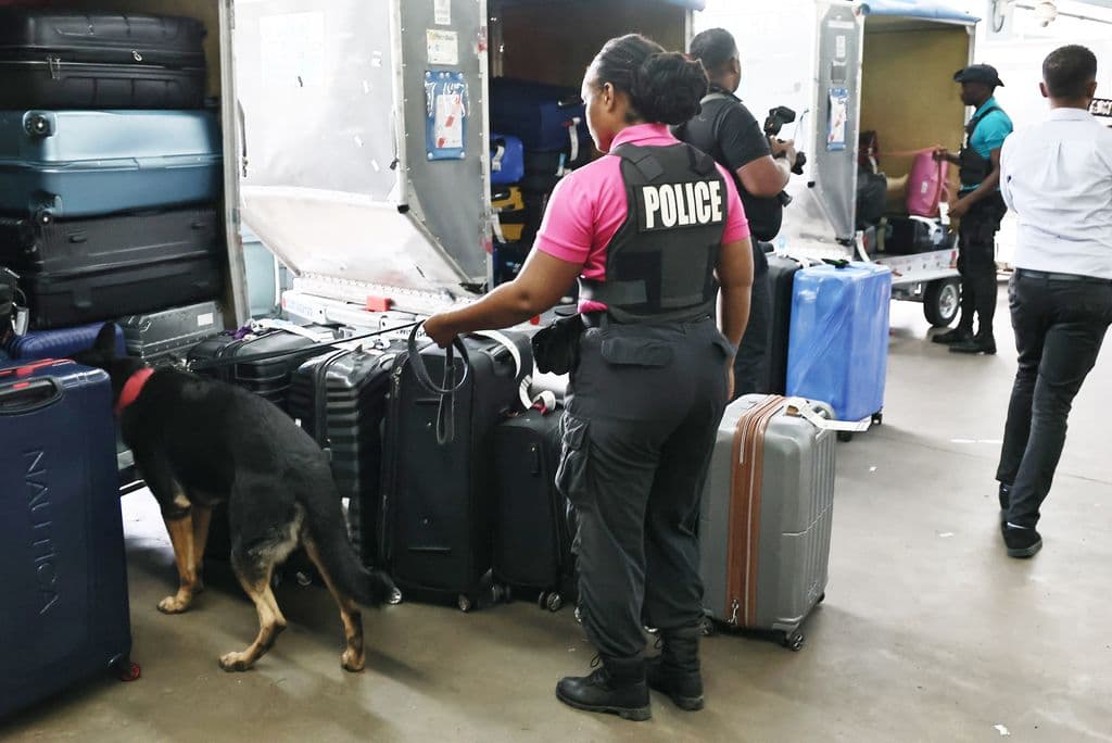 Tactical cops, sniffer dogs added to beef up airport’s security