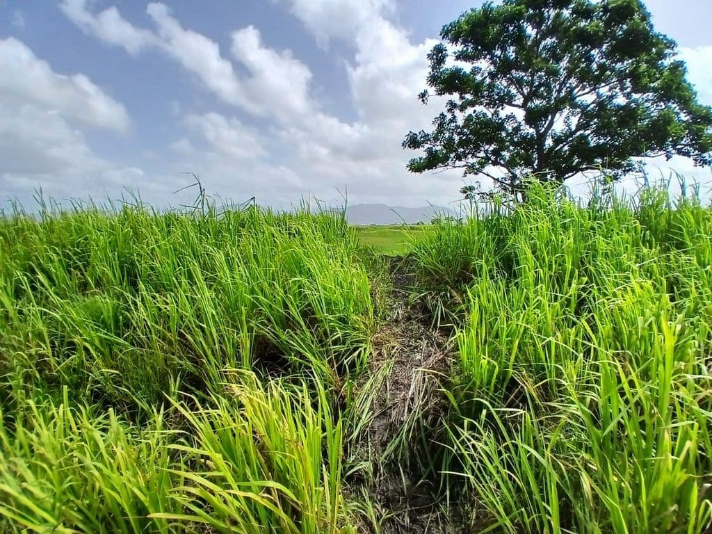 Two Hispanic women found buried in shallow grave