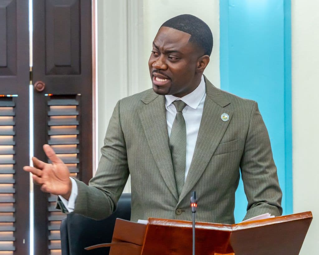 Farley calls for ‘radical response’ to crime during SoE