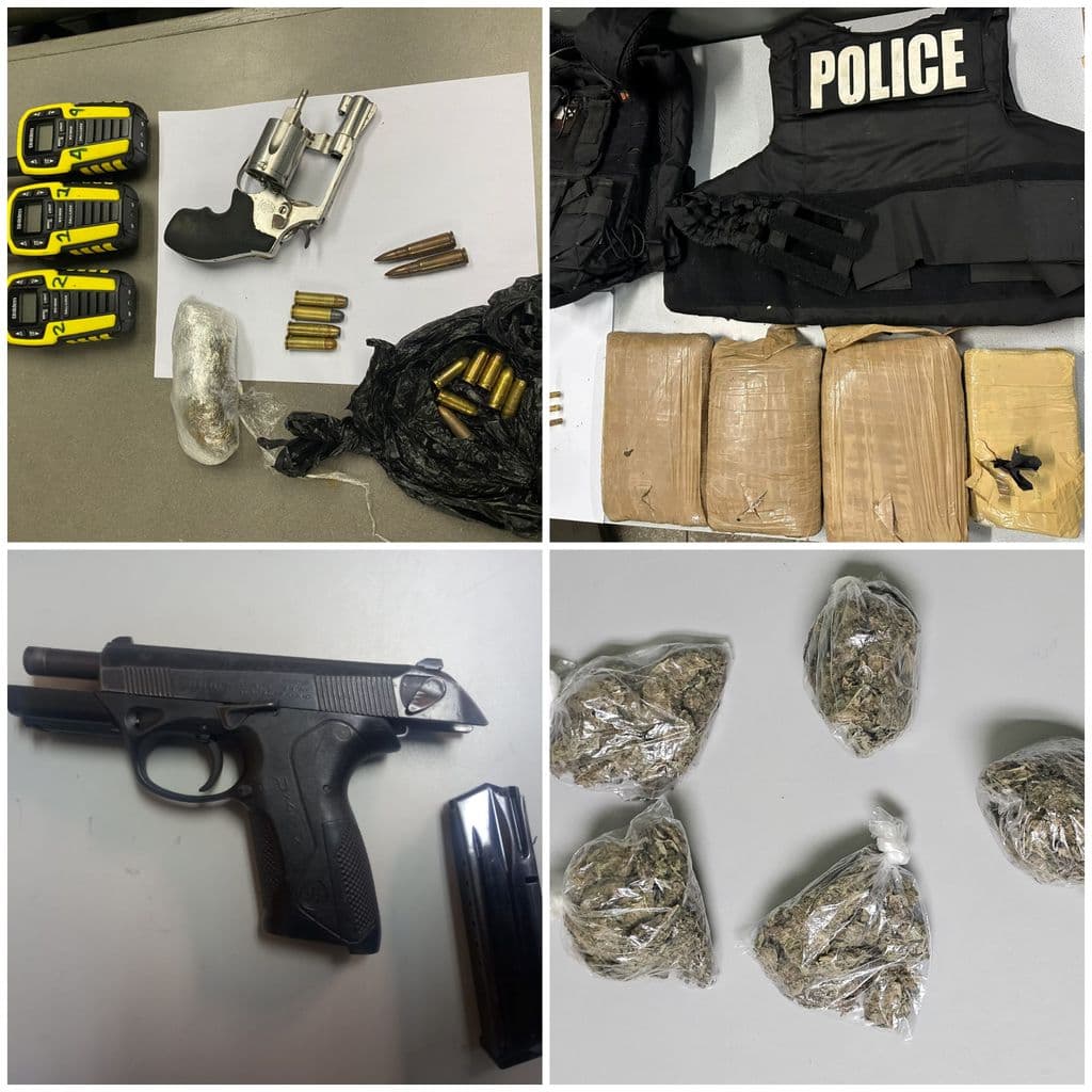 One held, firearms, cannabis and ammo seized