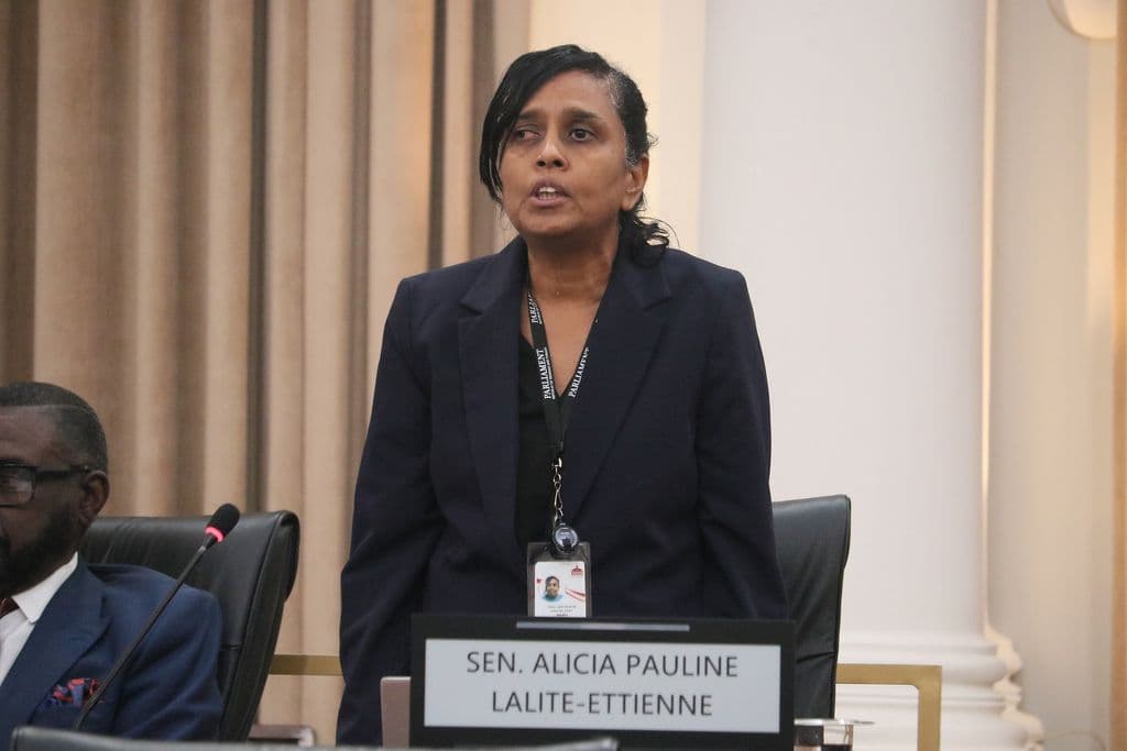 Independent Senator calls Budget ‘glitter without gold’; says it will burden vulnerable