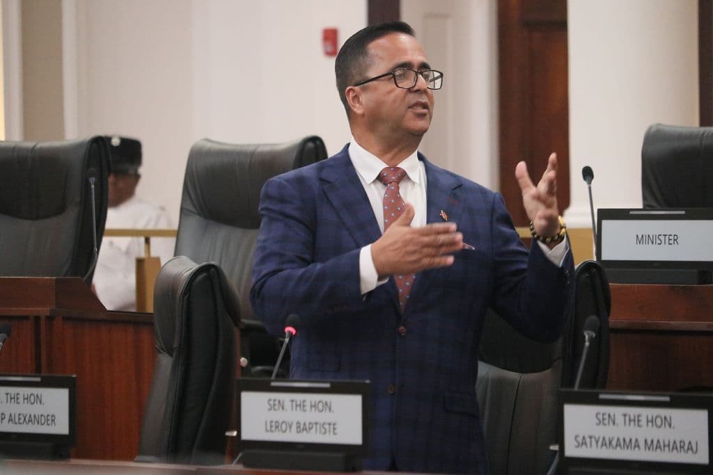 Alexander: Over 2,000 interns hired by HDC just before General Election