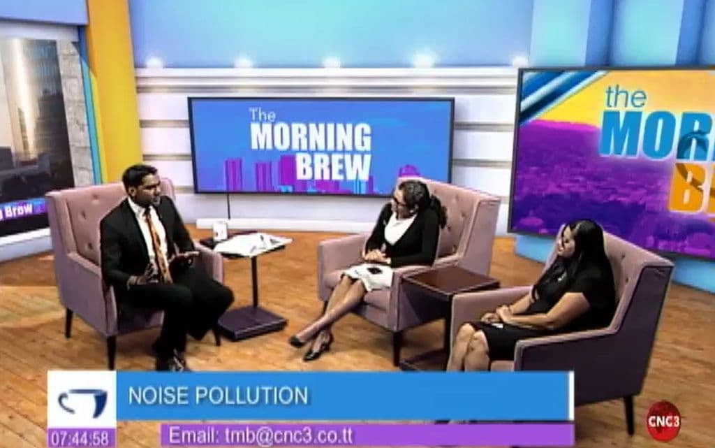 Noise pollution is a public health crisis, says interest group