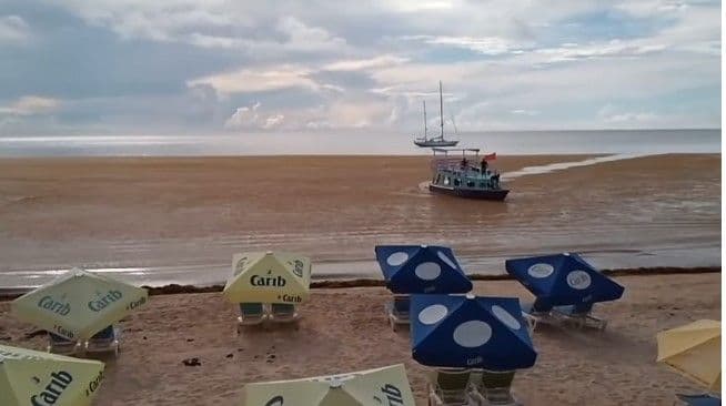 Tobago’s western beaches overrun by sargassum