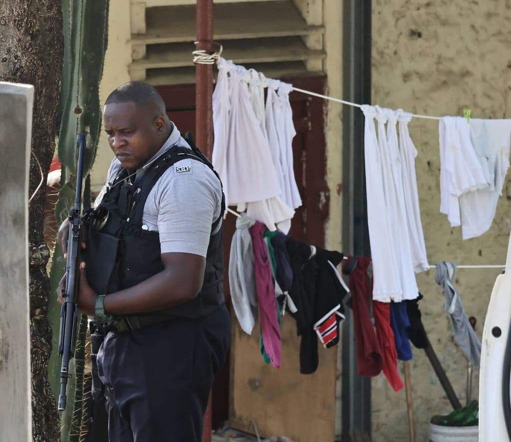 New tribunal appointed to review SoE detentions