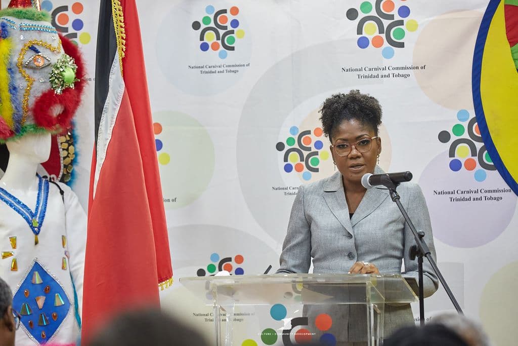 Minister orders audit into $200M loan at NCC