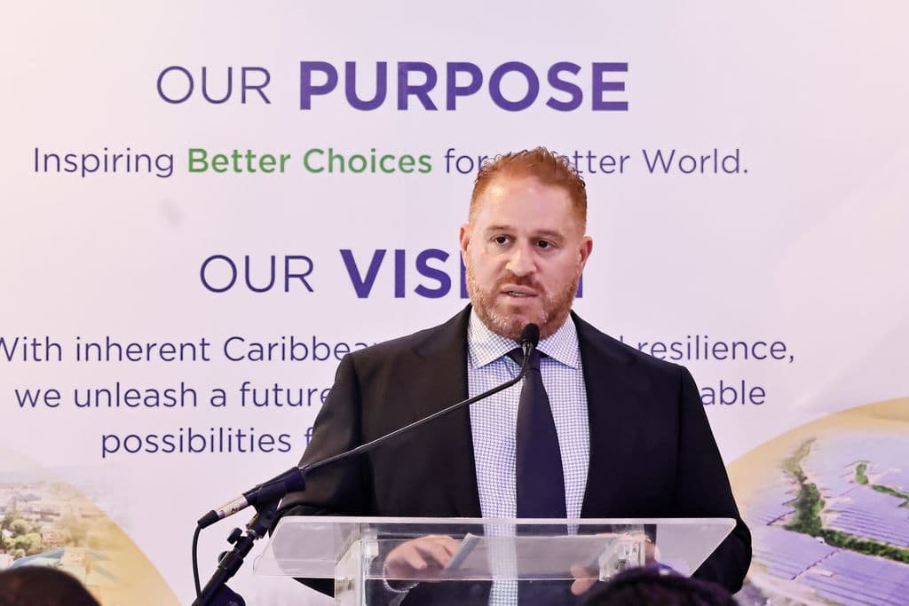 ANSA McAL faced ‘duress’ in gas price negotiations