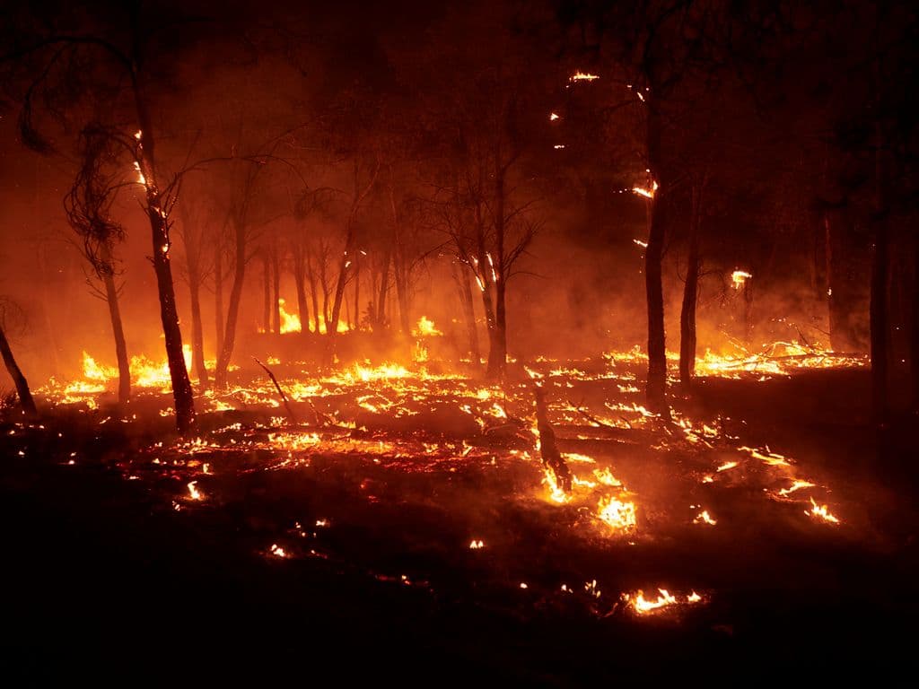 Parts of Europe burn as millions are facing record heat