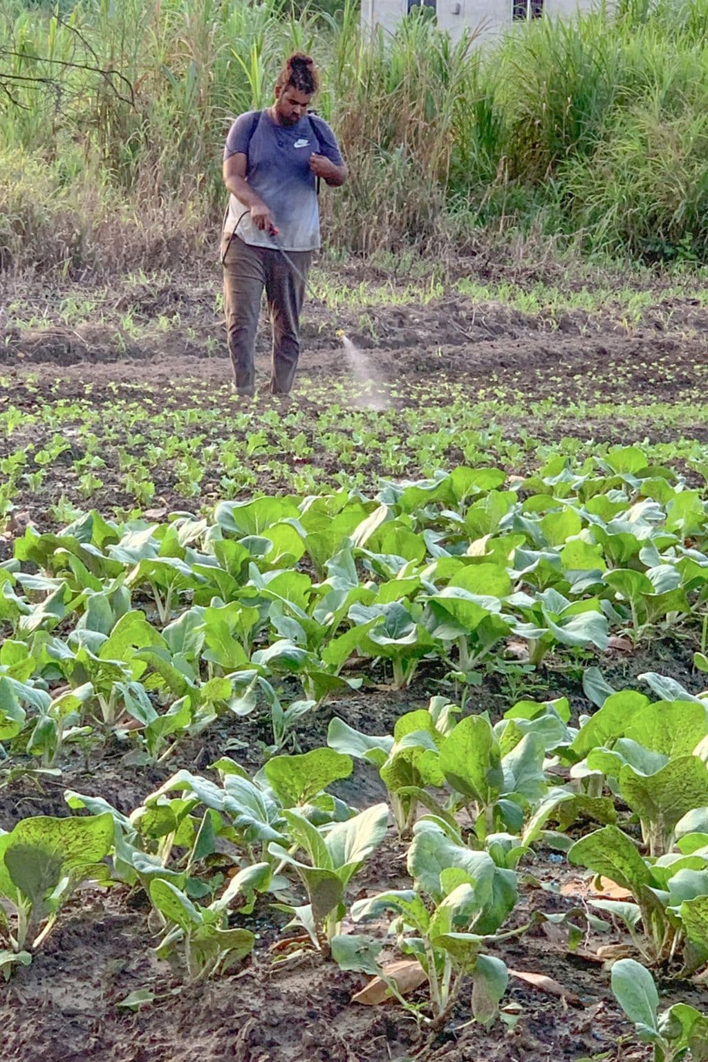 $1.13B agriculture plan aims for tech-driven growth and food security