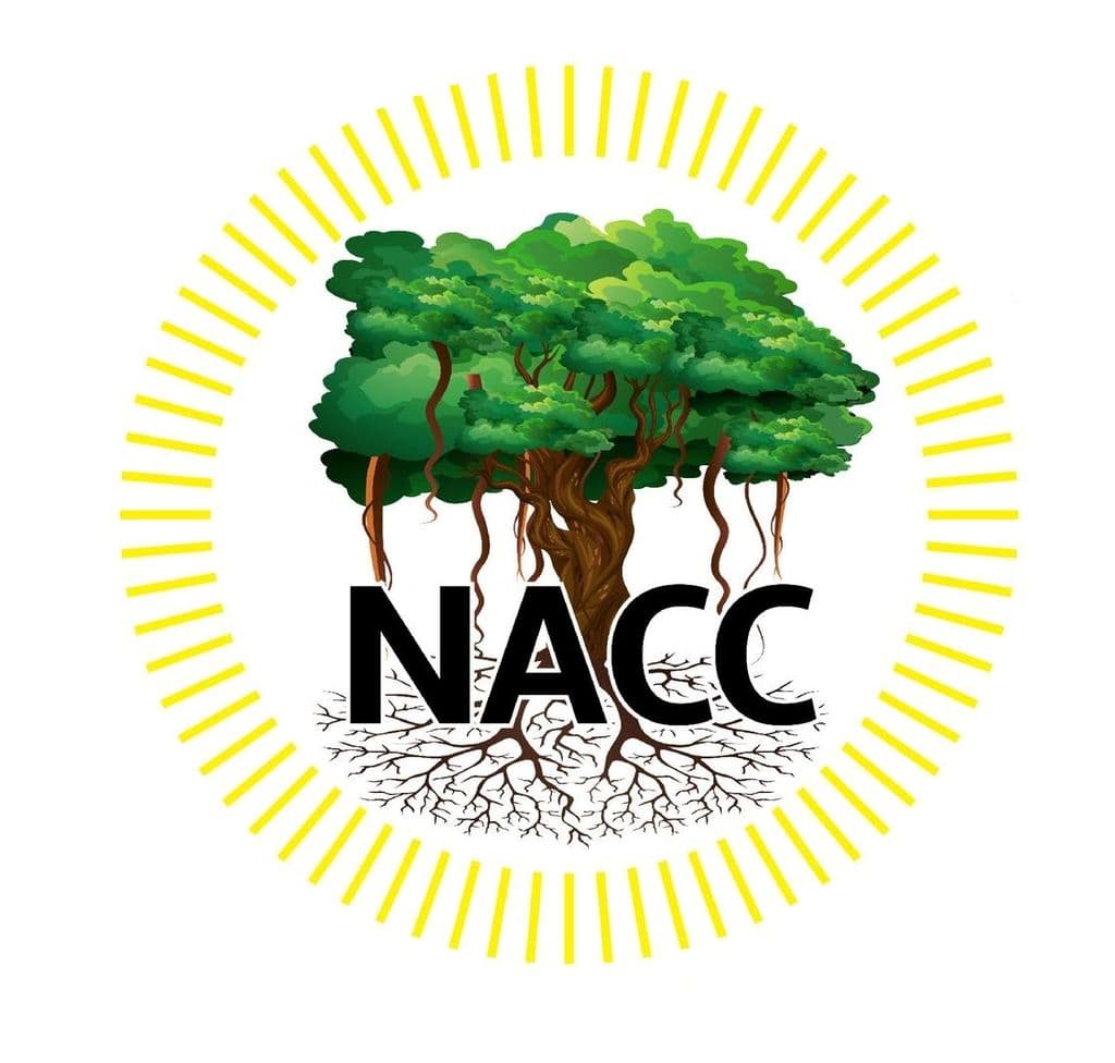 NACC announces top 20 calypsoes for 2025