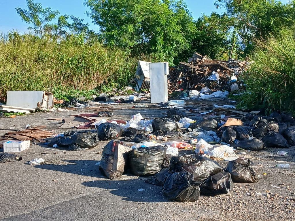 Litter wardens to stake out illegal garbage dumping sites