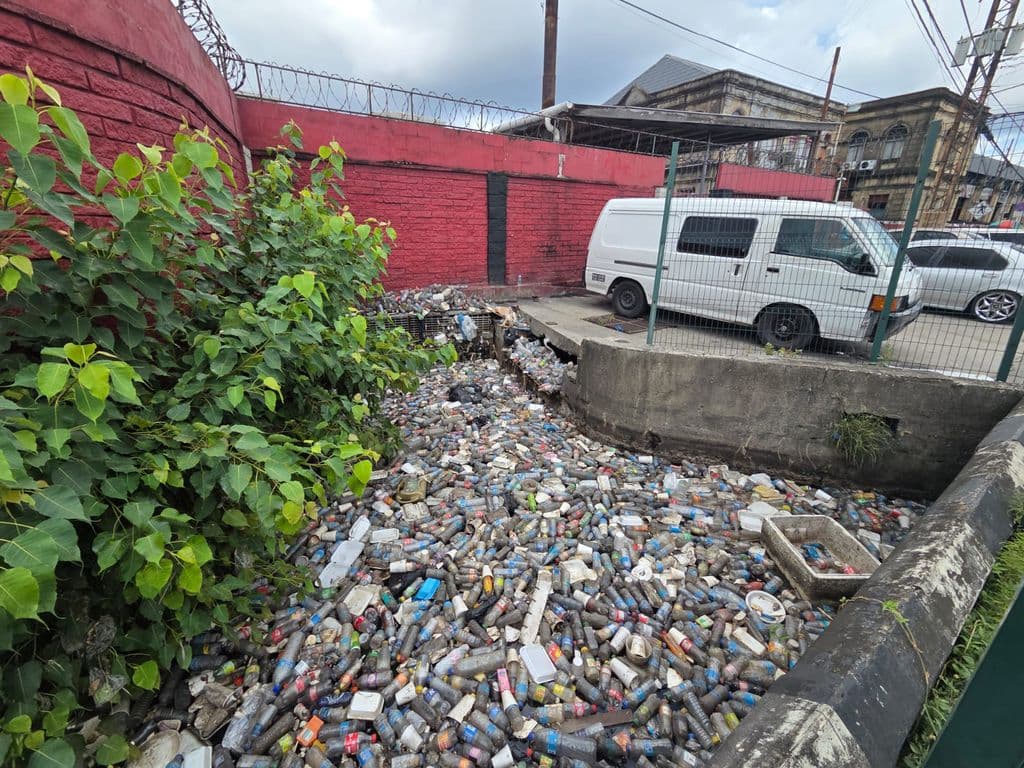 Ministry working to tackle flooding, says Jearlean