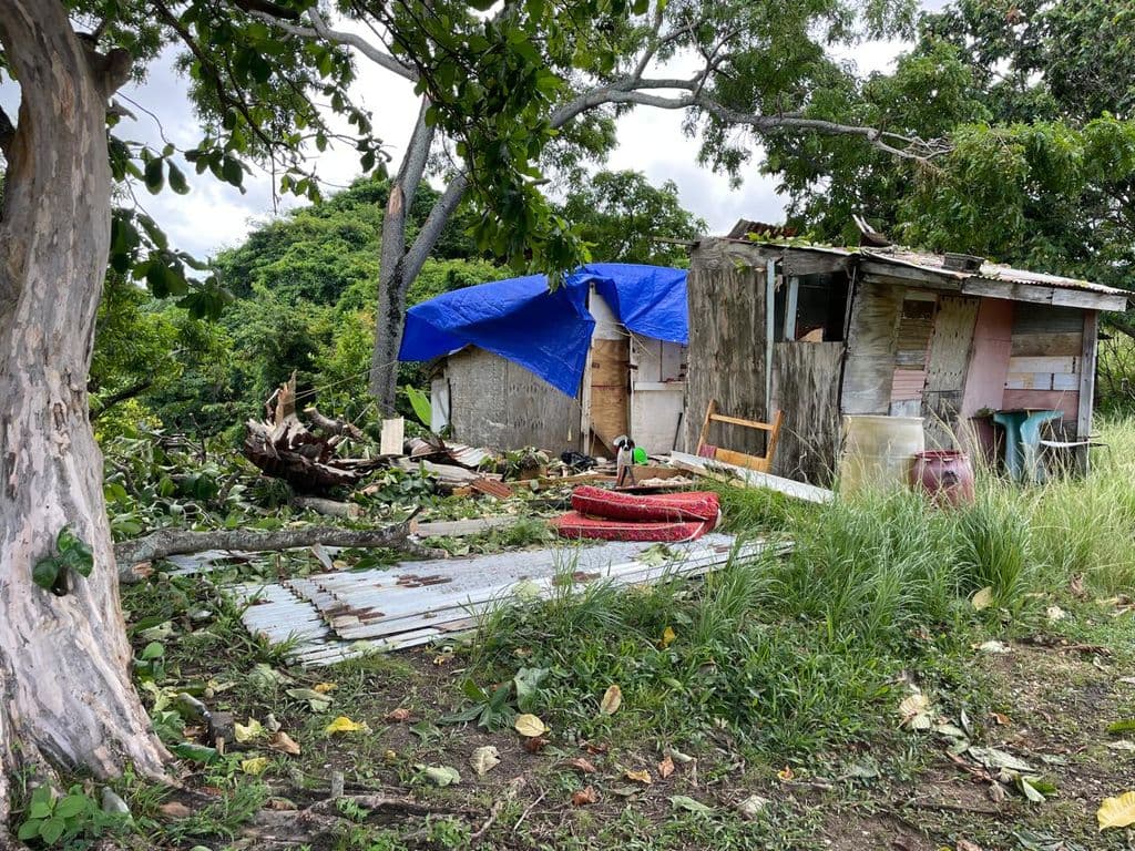 Mayaro man displaced after tree crushes home