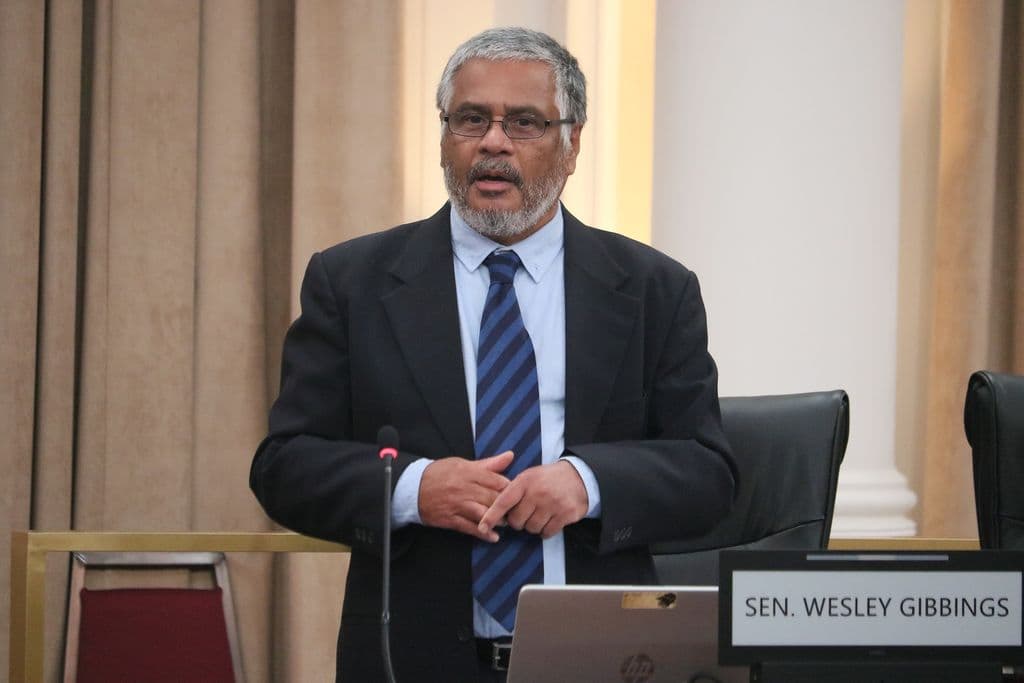 Grandchildren now eligible for T&T citizenship as Senate passes bill
