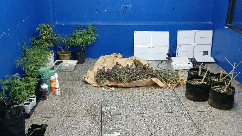 NSOU executes two intelligence-led drug operations