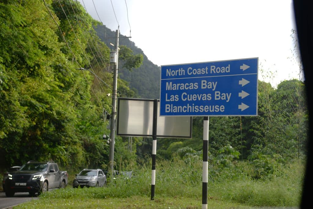 17 added to murder toll in 7 days