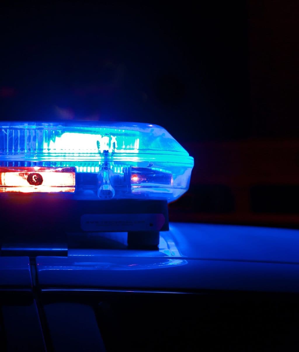 Seven arrested, firearm and cannabis seized